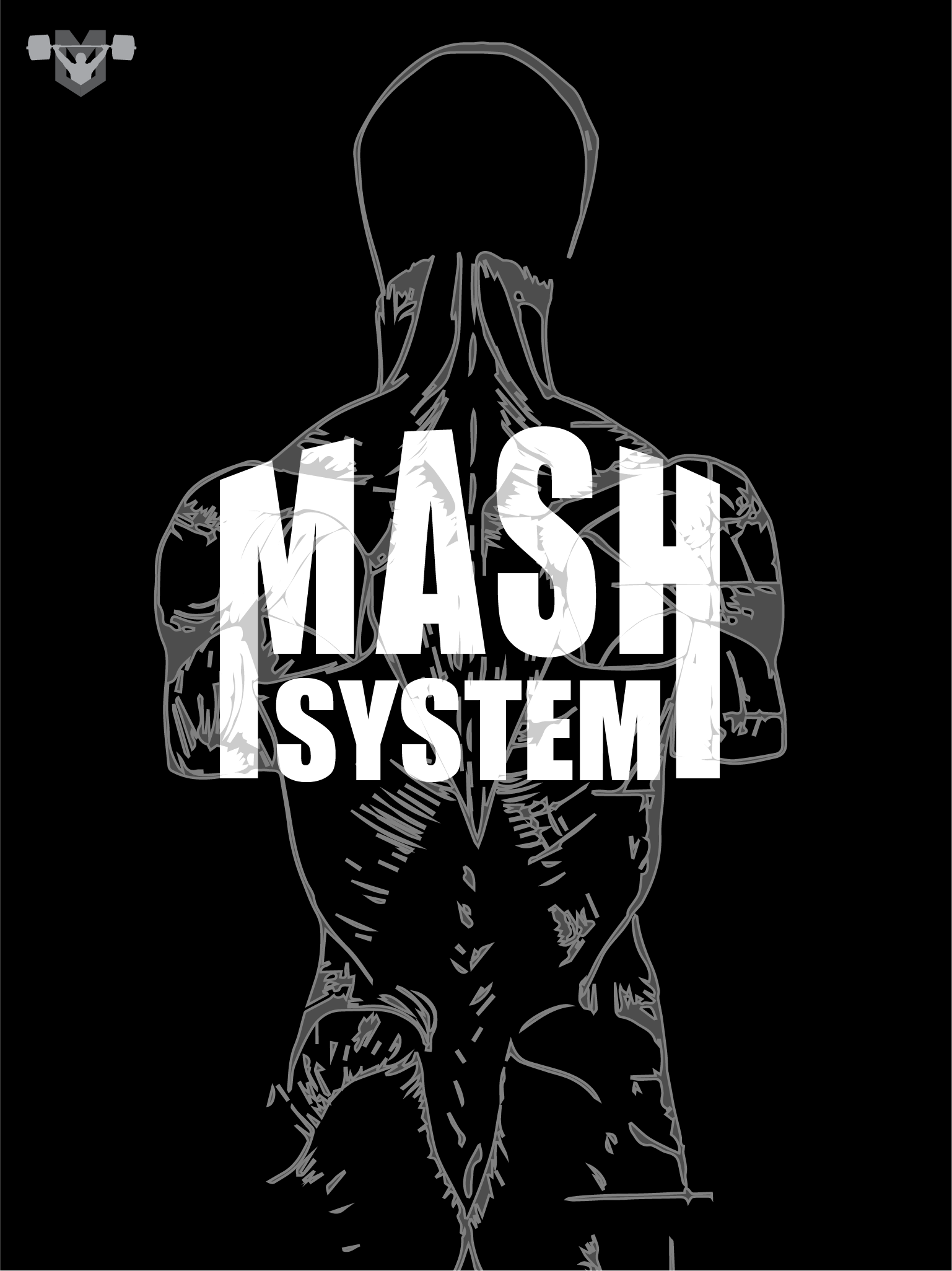 MASH SYSTEM@2x