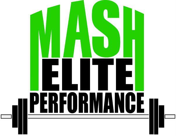 mash logo