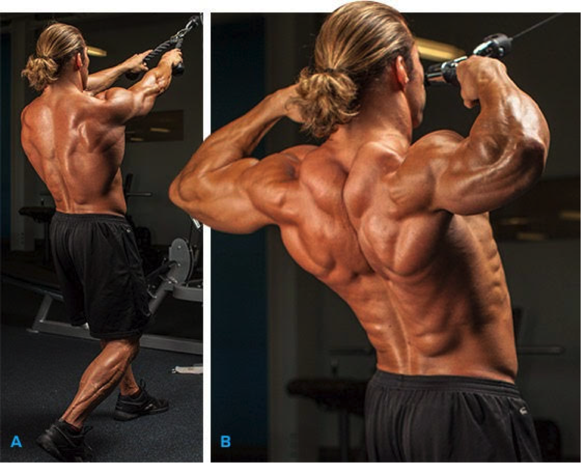 Bulletproof Your Athlete with Hypertrophy by Ricky McFarlane Mash